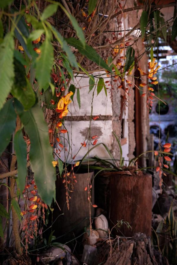 Y.O Inn Kon Tum  Exterior foto